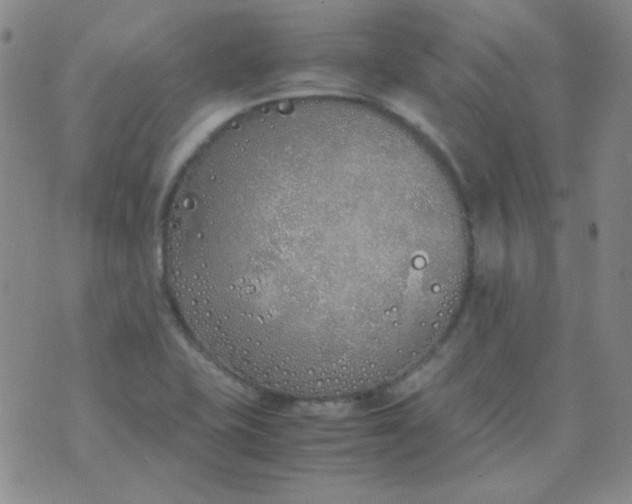 X0000070431415200606231906