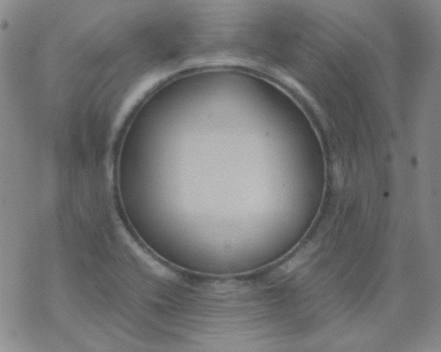 X0000070431416200606231906