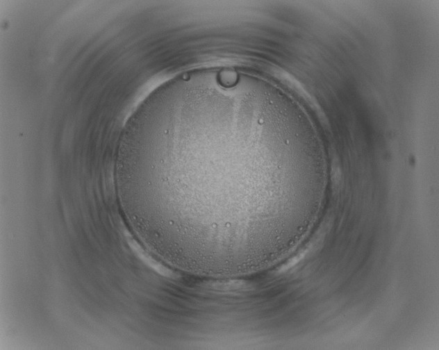 X0000070431417200606231906