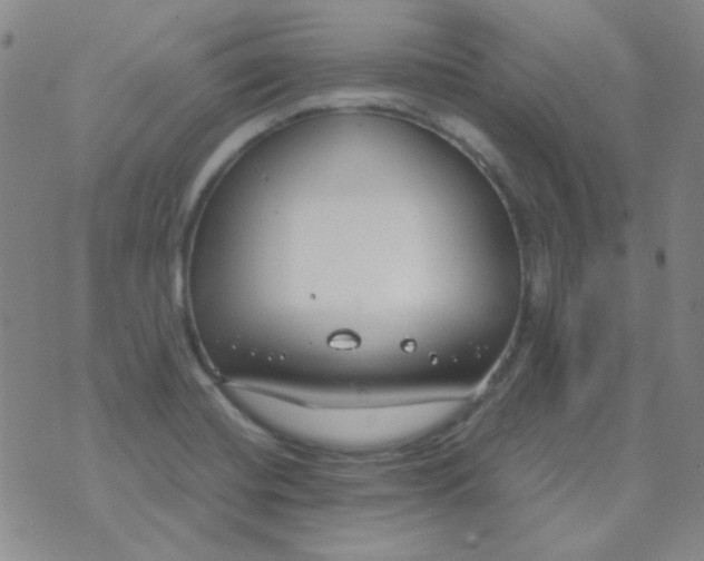 X0000070431420200606231907