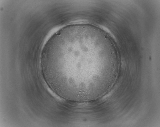 X0000070431421200606231907