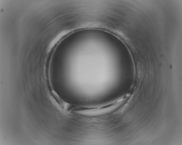 X0000070431422200606231907