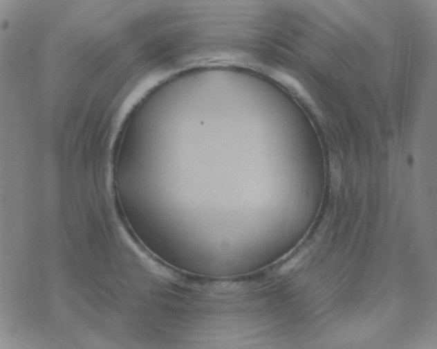 X0000070431424200606231907