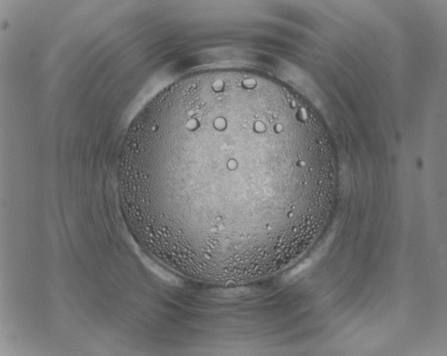 X0000070431425200606231907