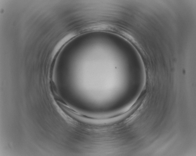 X0000070431426200606231907