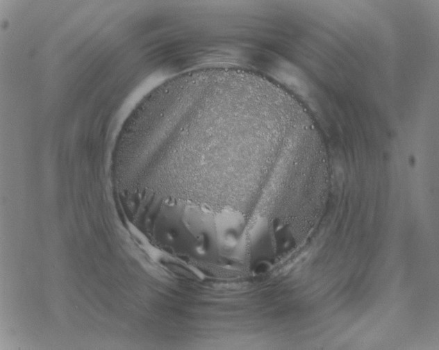 X0000070431427200606231907