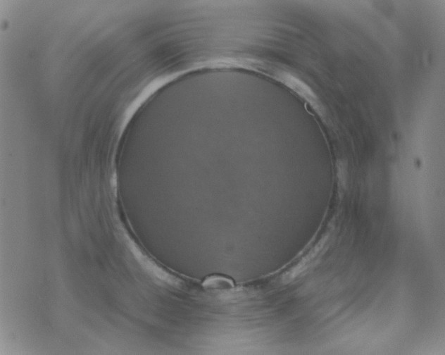 X0000070431428200606231907