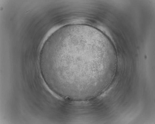 X0000070431429200606231907