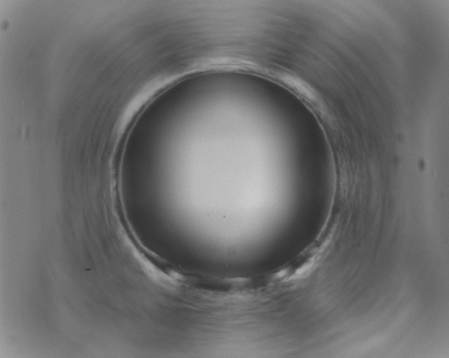 X0000070431430200606231907