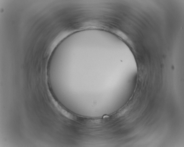 X0000070431431200606231907