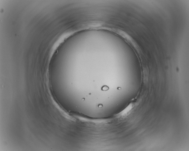 X0000070431432200606231907