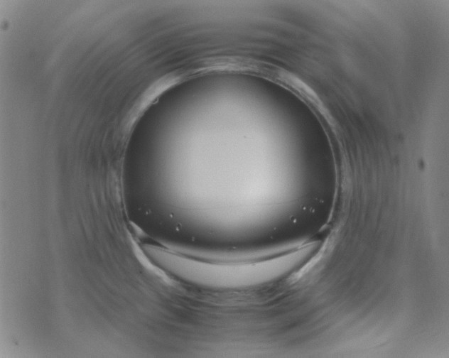 X0000070431433200606231907