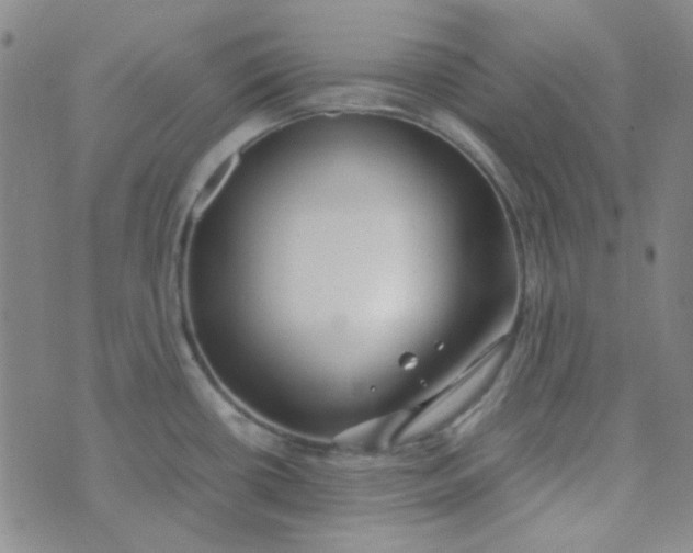 X0000070431434200606231907