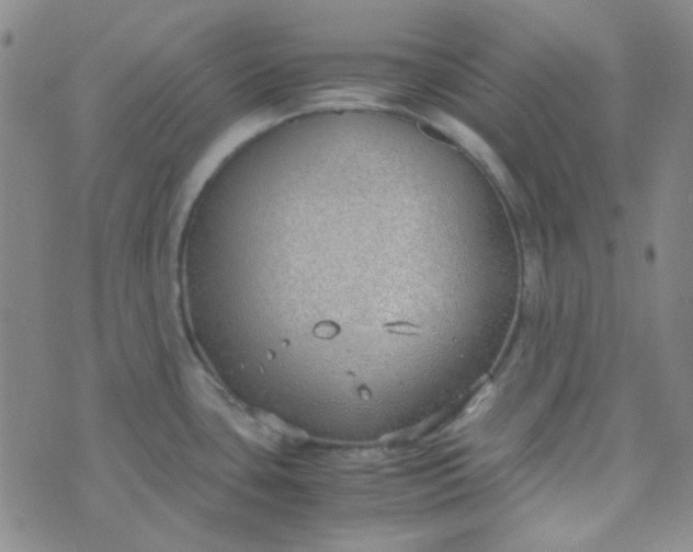 X0000070431435200606231907