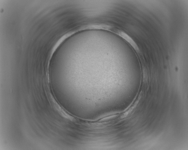 X0000070431436200606231907