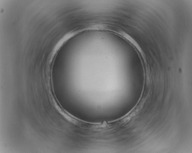 X0000070431437200606231907