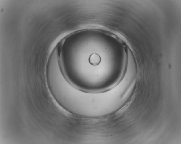 X0000070431438200606231907