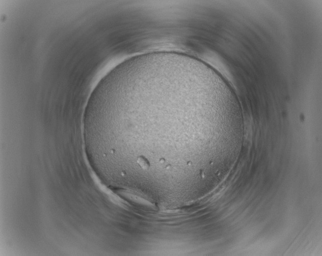 X0000070431439200606231907