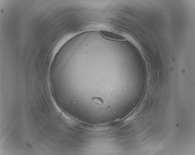 X0000070431440200606231907