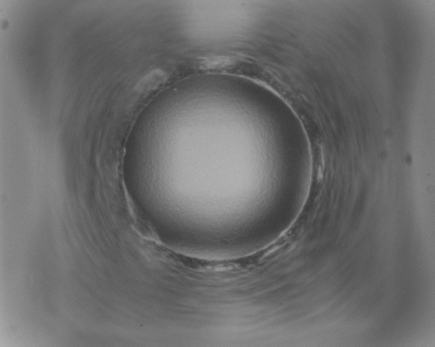 X0000070431441200606231906