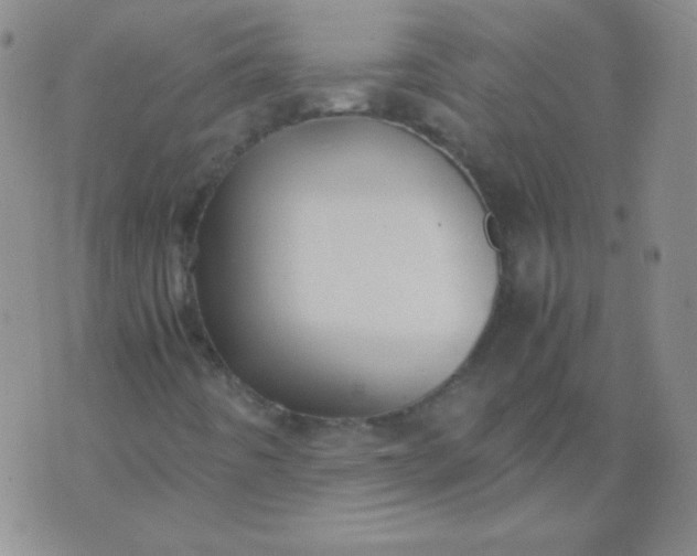 X0000070431442200606231906