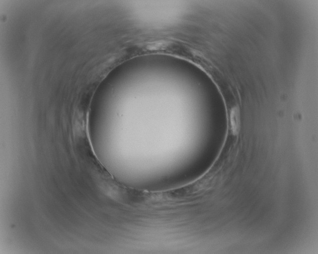 X0000070431443200606231906