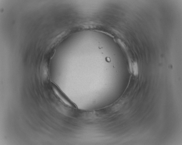 X0000070431444200606231906