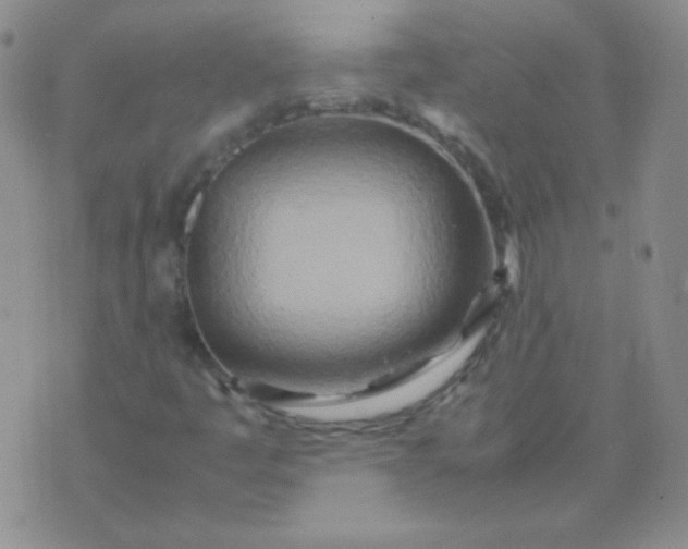 X0000070431445200606231906