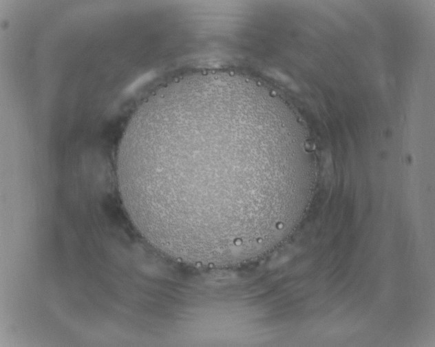 X0000070431446200606231906