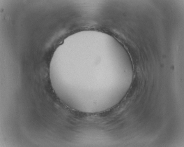 X0000070431447200606231906