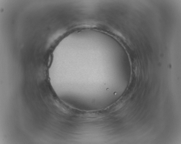 X0000070431448200606231906