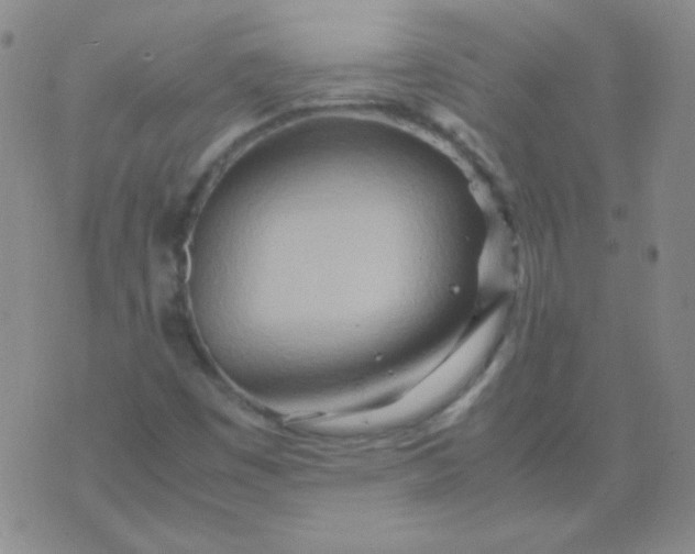 X0000070431449200606231906