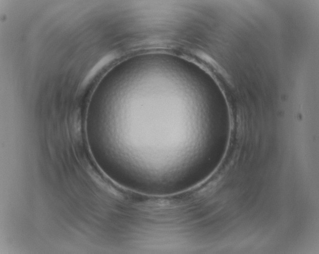 X0000070431450200606231906