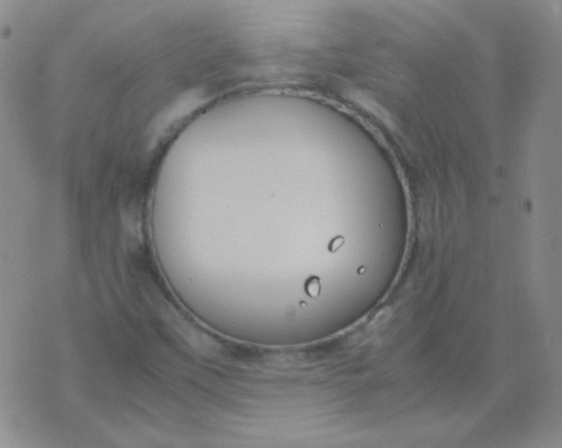 X0000070431451200606231906