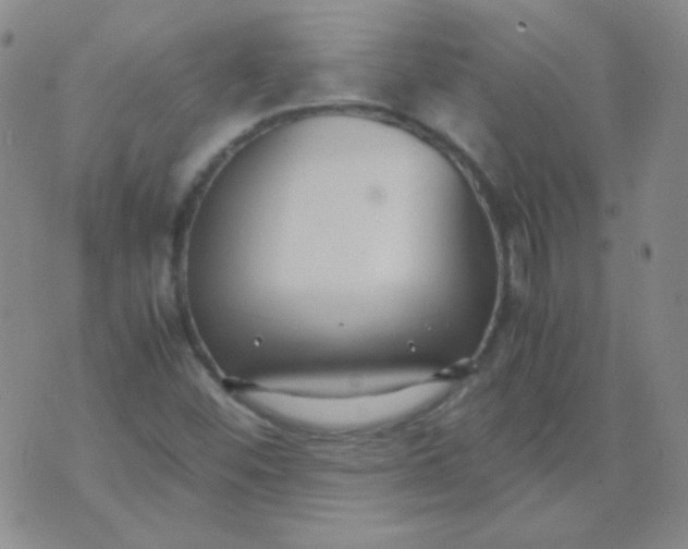 X0000070431452200606231906