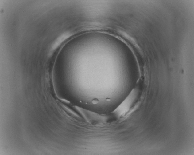 X0000070431453200606231906