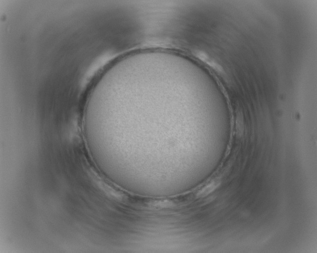 X0000070431454200606231906