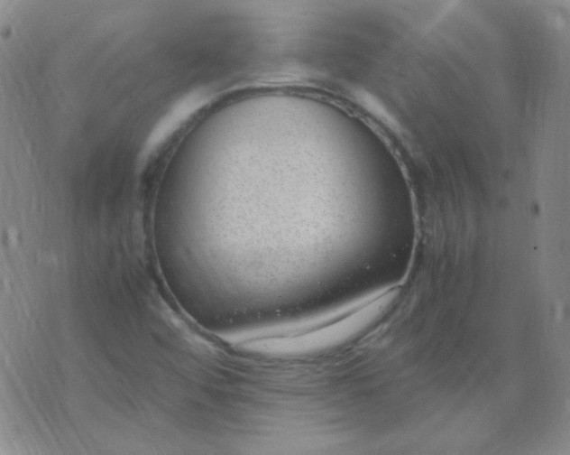 X0000070431456200606231906