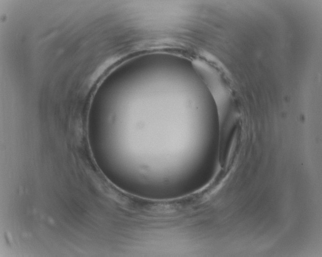 X0000070431457200606231906