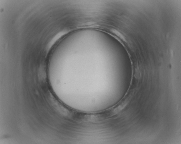 X0000070431458200606231906