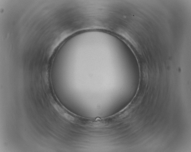 X0000070431460200606231906