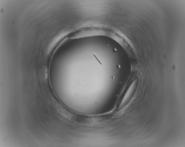 X0000070431461200606231906