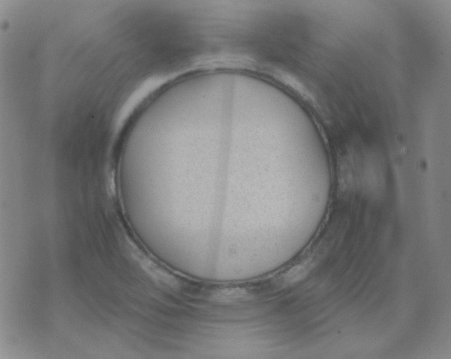 X0000070431462200606231906