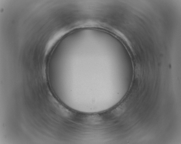 X0000070431464200606231906