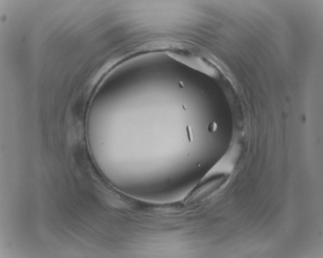 X0000070431465200606231906