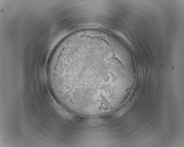 X0000070431466200606231906