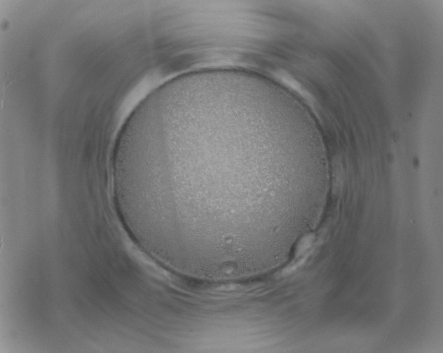 X0000070431467200606231906