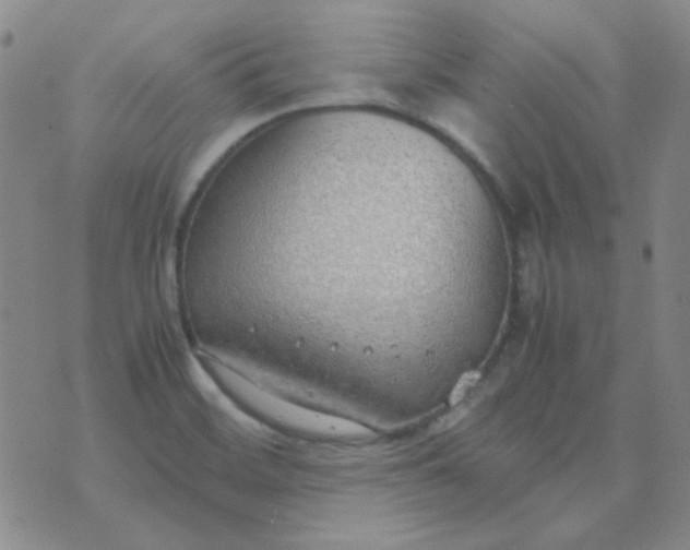 X0000070431468200606231906