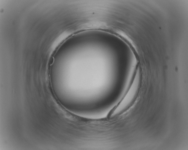 X0000070431469200606231906