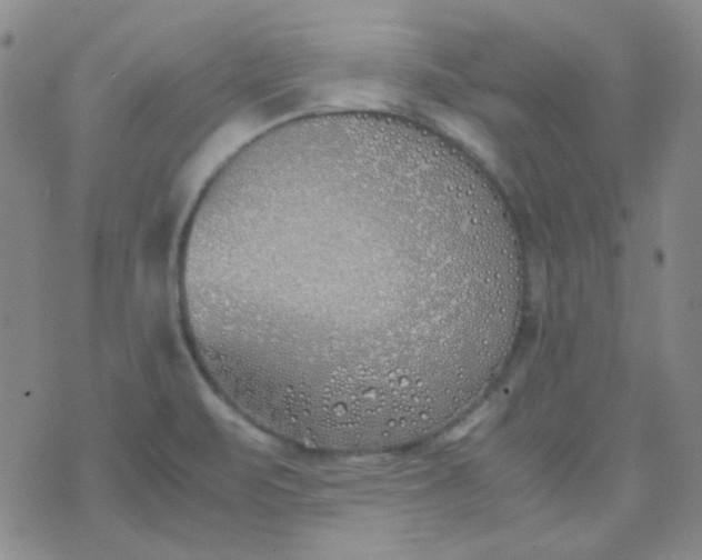 X0000070431471200606231906